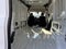 2026 Ford Transit Van Base